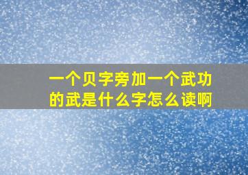 一个贝字旁加一个武功的武是什么字怎么读啊