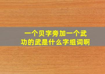 一个贝字旁加一个武功的武是什么字组词啊