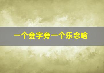 一个金字旁一个乐念啥