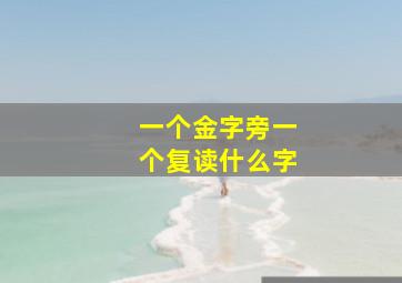 一个金字旁一个复读什么字