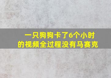 一只狗狗卡了6个小时的视频全过程没有马赛克