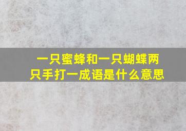 一只蜜蜂和一只蝴蝶两只手打一成语是什么意思