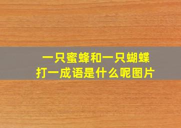 一只蜜蜂和一只蝴蝶打一成语是什么呢图片