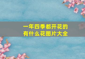 一年四季都开花的有什么花图片大全