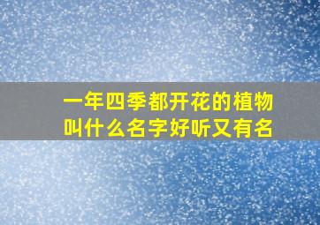 一年四季都开花的植物叫什么名字好听又有名