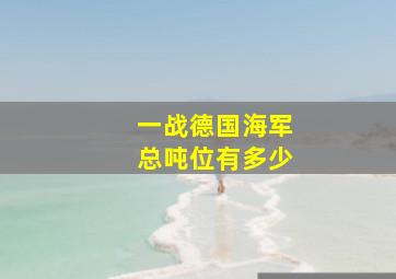 一战德国海军总吨位有多少