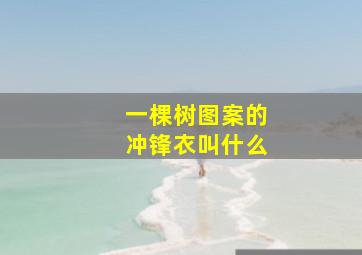 一棵树图案的冲锋衣叫什么