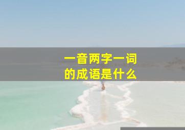 一音两字一词的成语是什么