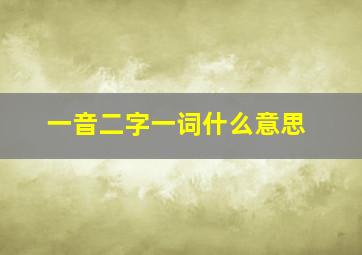 一音二字一词什么意思