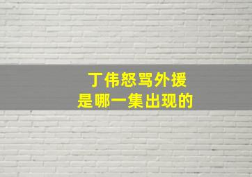 丁伟怒骂外援是哪一集出现的