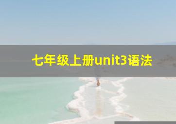 七年级上册unit3语法