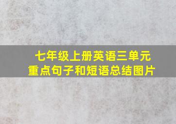 七年级上册英语三单元重点句子和短语总结图片