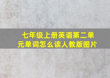 七年级上册英语第二单元单词怎么读人教版图片