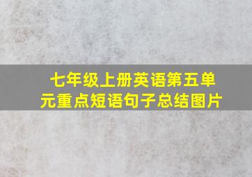 七年级上册英语第五单元重点短语句子总结图片