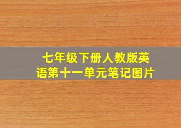 七年级下册人教版英语第十一单元笔记图片