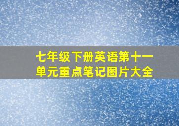 七年级下册英语第十一单元重点笔记图片大全