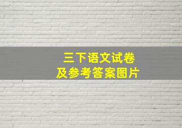 三下语文试卷及参考答案图片