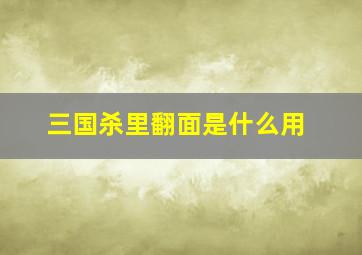 三国杀里翻面是什么用