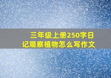 三年级上册250字日记观察植物怎么写作文