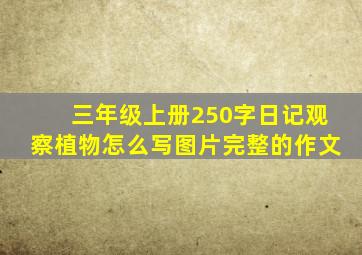 三年级上册250字日记观察植物怎么写图片完整的作文