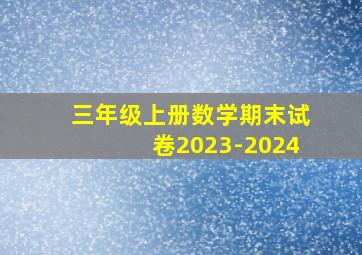 三年级上册数学期末试卷2023-2024