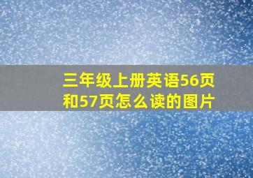 三年级上册英语56页和57页怎么读的图片