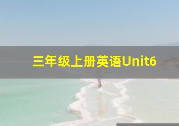 三年级上册英语Unit6