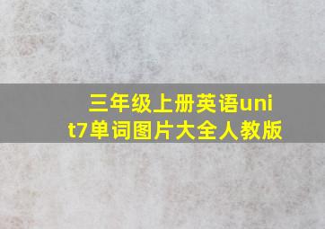 三年级上册英语unit7单词图片大全人教版