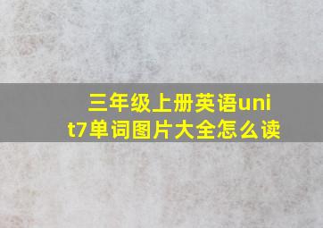 三年级上册英语unit7单词图片大全怎么读