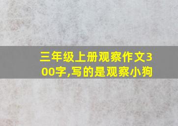 三年级上册观察作文300字,写的是观察小狗