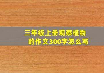 三年级上册观察植物的作文300字怎么写