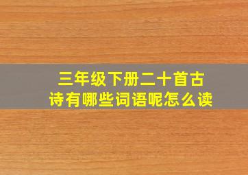 三年级下册二十首古诗有哪些词语呢怎么读