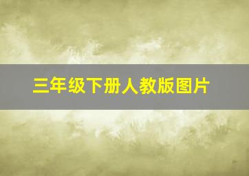 三年级下册人教版图片