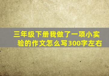 三年级下册我做了一项小实验的作文怎么写300字左右