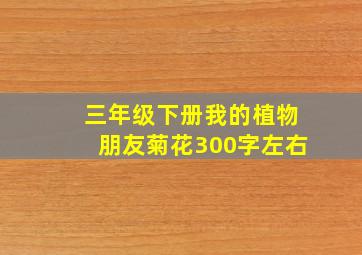 三年级下册我的植物朋友菊花300字左右