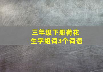 三年级下册荷花生字组词3个词语