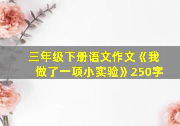 三年级下册语文作文《我做了一项小实验》250字