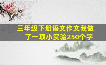 三年级下册语文作文我做了一项小实验250个字