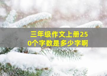 三年级作文上册250个字数是多少字啊