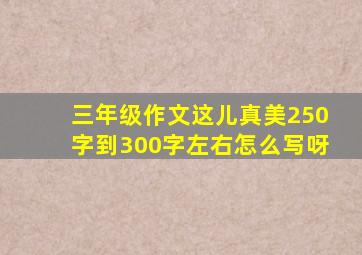 三年级作文这儿真美250字到300字左右怎么写呀