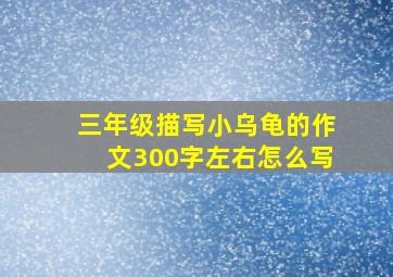 三年级描写小乌龟的作文300字左右怎么写