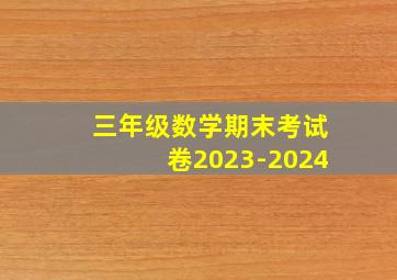 三年级数学期末考试卷2023-2024