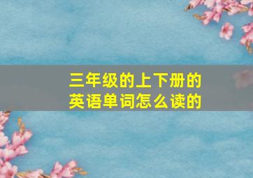 三年级的上下册的英语单词怎么读的