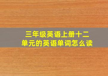 三年级英语上册十二单元的英语单词怎么读