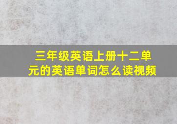 三年级英语上册十二单元的英语单词怎么读视频