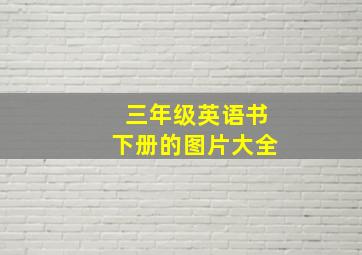 三年级英语书下册的图片大全