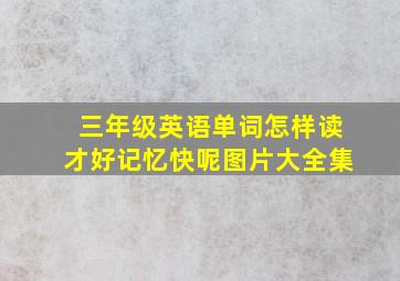 三年级英语单词怎样读才好记忆快呢图片大全集