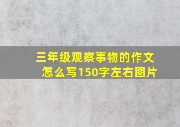 三年级观察事物的作文怎么写150字左右图片