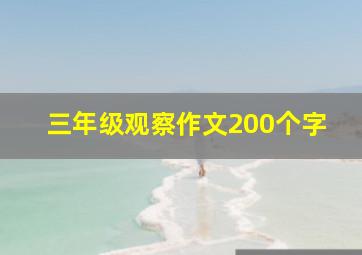 三年级观察作文200个字