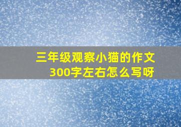 三年级观察小猫的作文300字左右怎么写呀